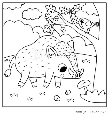 Square black and white scene with boar, acorn tree, bird. Forest line background with cute cartoon animal. Nature woodland story book landscape, coloring page with hog for kids 140271376