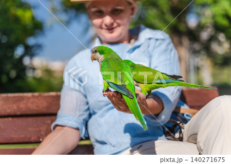 Closeup of green monk parakeets sitting on woman hand in sunny Barcelona park, colorful tropical urban birds interacting with tourist outdoors Closeup of green monk parakeets sitting on woman hand in sunny Barcelona park, colorful tropical urban birds interacting with tourist outdoors 140271675