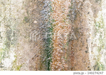Abstract closeup of weathered surface algae mineral deposits moisture stains natural erosion patterns creating detailed textured background Abstract closeup of weathered surface algae mineral deposits moisture stains natural erosion patterns creating detailed textured background 140274247