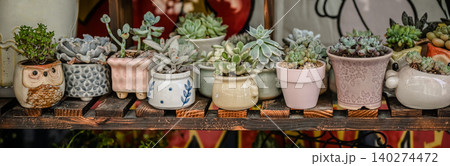 Assortment of various mini succulent plants in small decorative ceramic pots arranged on wooden shelf at retail flower market shop display Assortment of various mini succulent plants in small decorative ceramic pots arranged on wooden shelf at retail flower market shop display 140274472