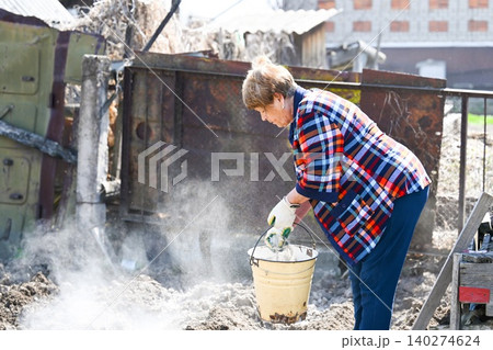 Russian 73 years old elderly woman throws wood ash from bucket into hole fertilizing soil during potato planting in rural village garden Russian 73 years old elderly woman throws wood ash from bucket into hole fertilizing soil during potato planting in rural village garden 140274624