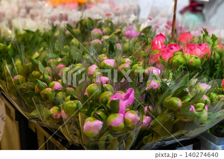 A close up display features fresh pink peony buds wrapped in clear plastic cellophane for sale at the Flower Market in Hong Kong. 140274640