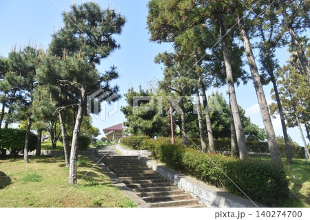 大倉山公園 大倉山公園 140274700