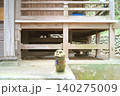 遊具で遊ぶ女の子ではない 140275009