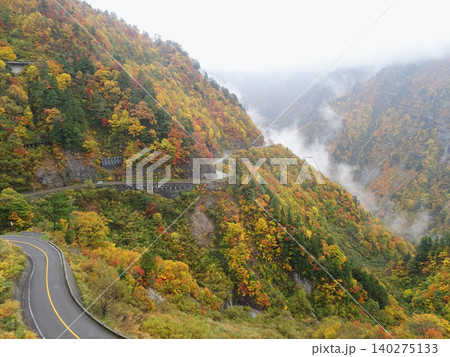 白山白川郷ホワイトロード、紅葉の山々と霧が織りなす絶景ドライブコース 白山白川郷ホワイトロード、紅葉の山々と霧が織りなす絶景ドライブコース 140275133