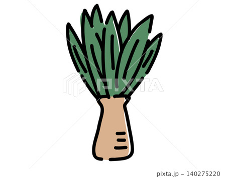 かわいいボタニカル観葉植物/手描きベクターイラスト かわいいボタニカル観葉植物/手描きベクターイラスト 140275220