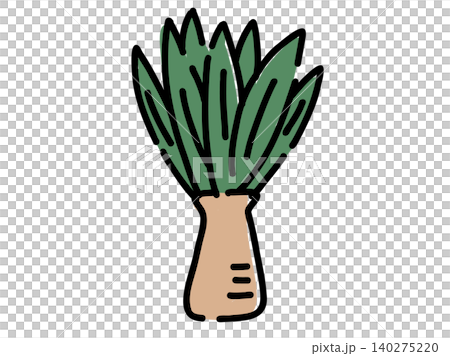 かわいいボタニカル観葉植物/手描きベクターイラスト かわいいボタニカル観葉植物/手描きベクターイラスト 140275220