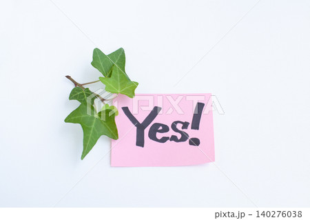 白背景に「Yes」と書いたピンクのカードとツタの葉 140276038