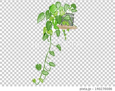 水彩畫的繡球花的插圖 水彩畫的繡球花的插圖 140276086