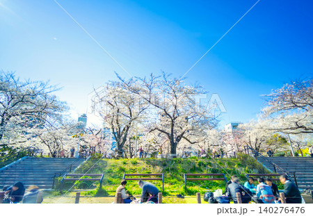 東京・隅田公園 桜満開の下で花見を楽しむ人々 140276476