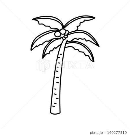 hand drawn palm tree doodle 140277310