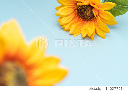 黄色の花色で夏の明るさを表す爽やかな背景 黄色の花色で夏の明るさを表す爽やかな背景 140277914