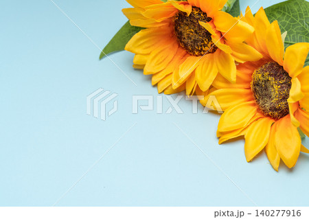 やわらかな水色で夏の清潔感を伝える花構図 140277916