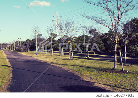 公園の遊歩道 蘇我スポーツ公園 公園の遊歩道 蘇我スポーツ公園 140277933