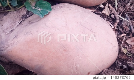 Stones on the ground Stones on the ground 140278763