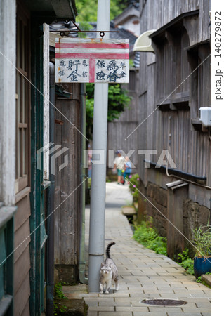 佐渡島 宿根木の小路で出会った猫 佐渡島 宿根木の小路で出会った猫 140279872