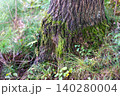 案内標識と富士山の道 140280004