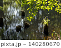 View of a moat in a nature reserve 140280670