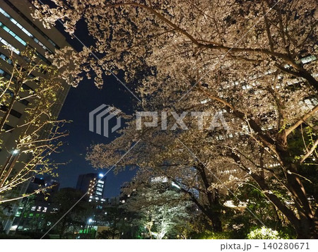 グランフロント大阪の夜桜 140280671