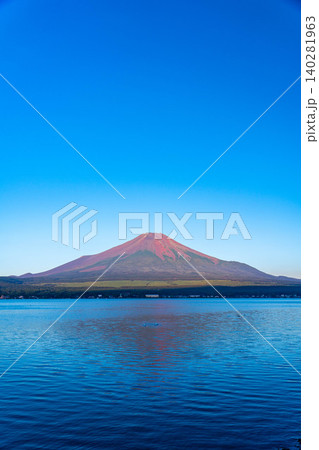 【富士山素材】山中湖から見る朝焼けに染まる赤富士【山梨県】 【富士山素材】山中湖から見る朝焼けに染まる赤富士【山梨県】 140281963
