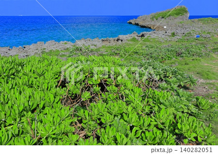 【沖縄県】晴天の西平安名崎(宮古島) 【沖縄県】晴天の西平安名崎(宮古島) 140282051
