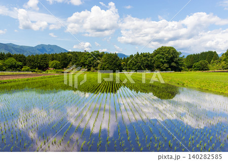 田植えの終わった水田と森と青空 田植えの終わった水田と森と青空 140282585