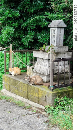 道祖神と猫 道祖神と猫 140283759