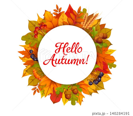 Hello autumn round festive banner with falling leaves, berries, wheat and acorns. Fall season vector greeting card. Autumn festive banner with oak, marple and birch foliage, handwritten typography Hello autumn round festive banner with falling leaves, berries, wheat and acorns. Fall season vector greeting card. Autumn festive banner with oak, marple and birch foliage, handwritten typography 140284191