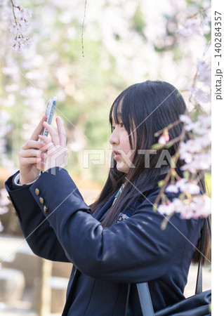 桜の下でスマホ撮影するブレザー制服の女子高生 140284357