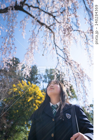 桜を見上げるブレザー制服の女子高生 桜を見上げるブレザー制服の女子高生 140284369