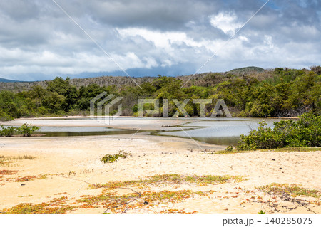 Serene landscape at Santa Cruz Island, Galapagos Archipelago, Ecuador 140285075