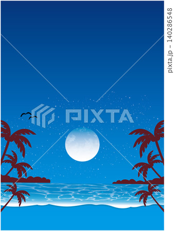 夜の南国の浜辺 140286548