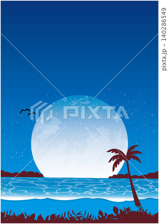 夜の南国の浜辺 夜の南国の浜辺 140286549
