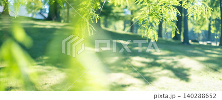 森の新緑・エコイメージ(蒜山高原) 森の新緑・エコイメージ(蒜山高原) 140288652