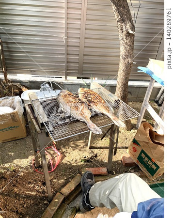 釣ってきた鯛を庭で炭火焼き(焼)する高齢のシニア男性・おじいさん 釣ってきた鯛を庭で炭火焼き(焼)する高齢のシニア男性・おじいさん 140289761
