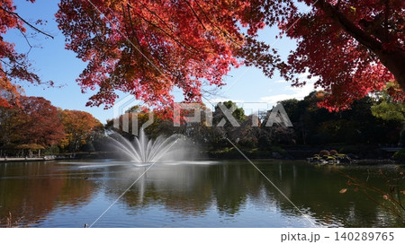 真紅のモミジが彩る池と噴水の秋景色 140289765