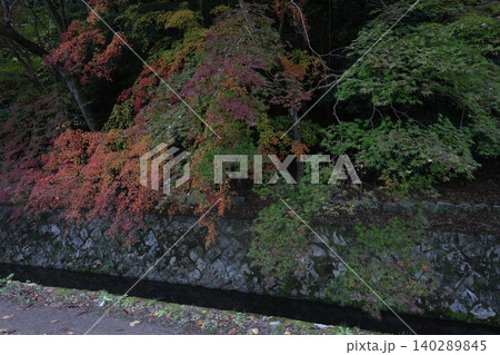 紅葉した葉 紅葉した葉 140289845