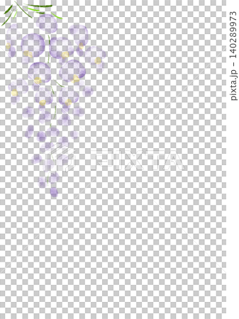 水彩で描いた藤の花の背景フレーム 140289973