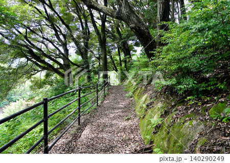 琴海中央公園の風景、緑に囲まれた遊歩道 琴海中央公園の風景、緑に囲まれた遊歩道 140290249