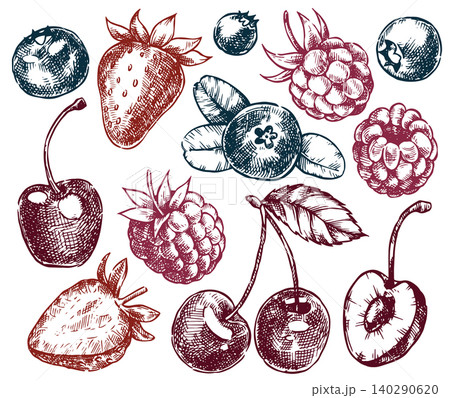 Set of fresh berries. Vector illustration in sketch style. Set of fresh berries. Vector illustration in sketch style. 140290620