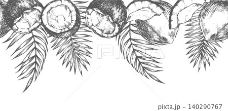 horizontal border of coconuts and palm leaves. Vector illustration in sketch style. horizontal border of coconuts and palm leaves. Vector illustration in sketch style. 140290767