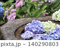 水に浮かぶ紫陽花 140290803
