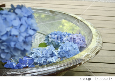 水に浮かぶ青い紫陽花 水に浮かぶ青い紫陽花 140290817