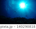 水中から見上げた太陽 140290818