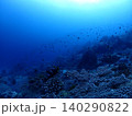 小笠原諸島の様々なサンゴが広がる珊瑚礁 140290822