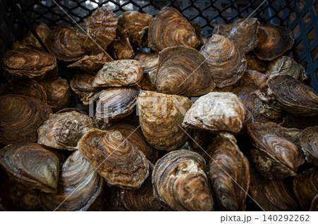 Fresh oysters at Cancale oysters farm market 140292262