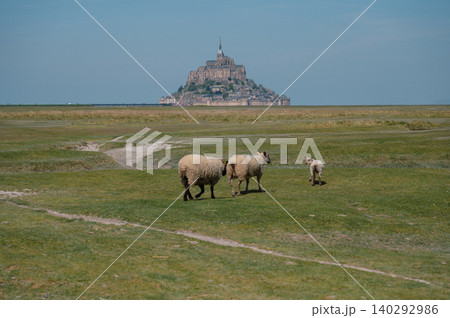Mont Saint-Michel Abbey and Village, Normandy, France 140292986
