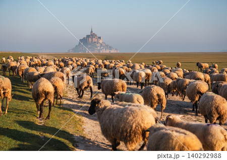 Mont Saint-Michel Abbey and Village, Normandy, France 140292988