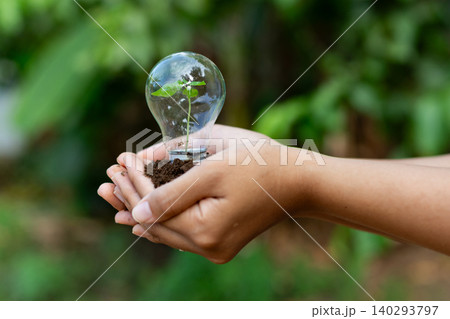 Hands Holding Seedling in a Lightbulb Base Growth, Sustainability, and Green Energy for the Future. concept growth, eco-consciousness, and hopeful progress toward sustainable ideas and communitie Hands Holding Seedling in a Lightbulb Base Growth, Sustainability, and Green Energy for the Future. concept growth, eco-consciousness, and hopeful progress toward sustainable ideas and communitie 140293797