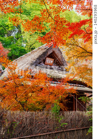 京都　宝厳院の紅葉 140293968